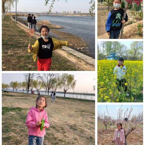 （智育）遇见春天，遇见美好——春天里的“数学味道”