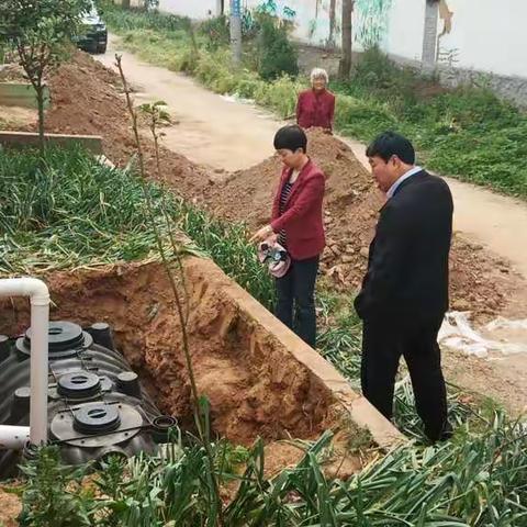 茨芭镇改厕工作纪实