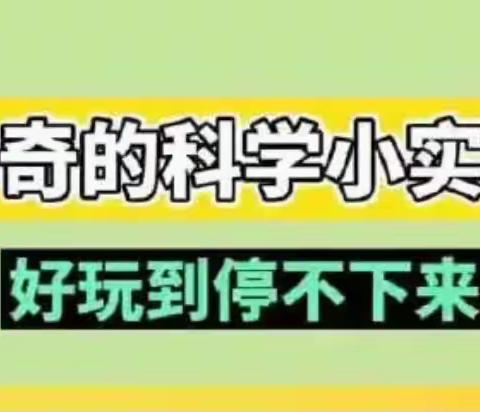 一年级一级部——科学小实验