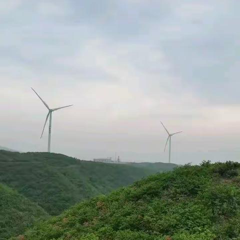 让我着迷的风景