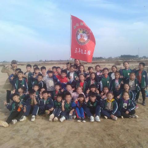  奔跑的蚂蚁的美篇