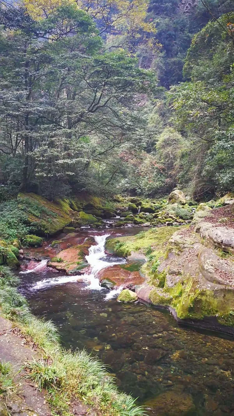 金鞭溪大峡谷