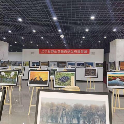 辽宁省野生动物保护生态摄影展