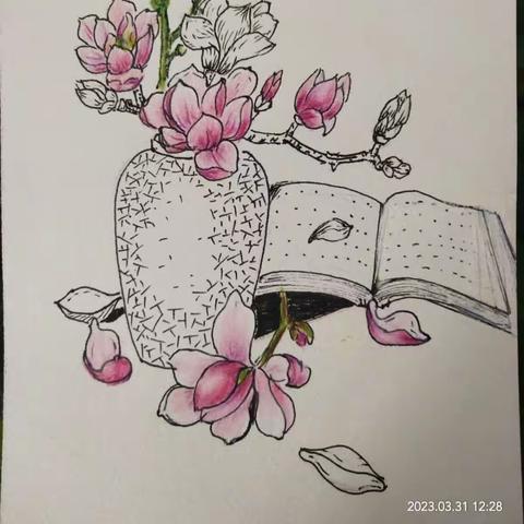 邸颖的美篇