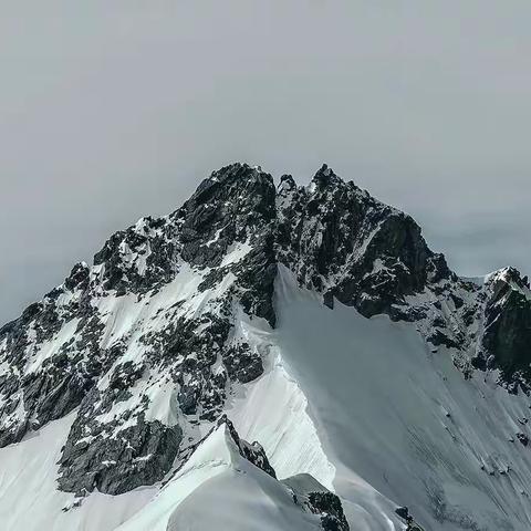 县自然资源综合行政执法大队﻿持续推动               2020年跨省域“增减挂钩”项目见成效