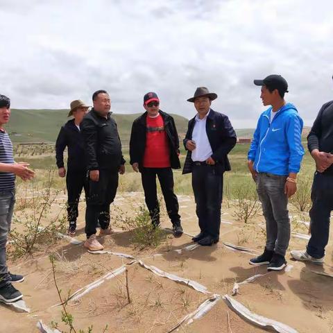 泽库县林业和草原局组织相关科室赴各乡镇检查国土绿化项目