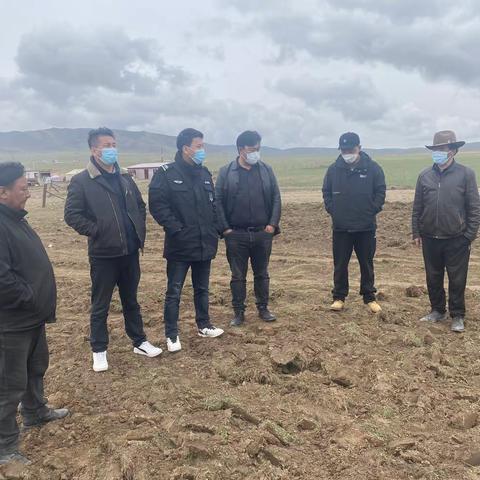 泽库县自然资源综合行政执法大队开展非法开垦牧草地违法行为摸排整治工作