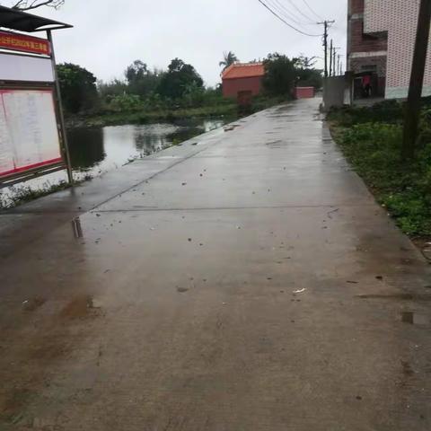 【质量考核--龙华农村四组1月16日】二