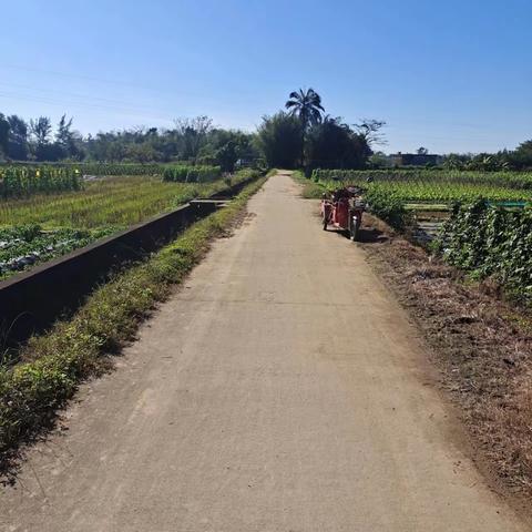 【质量考核--龙华农村四组1月14日】