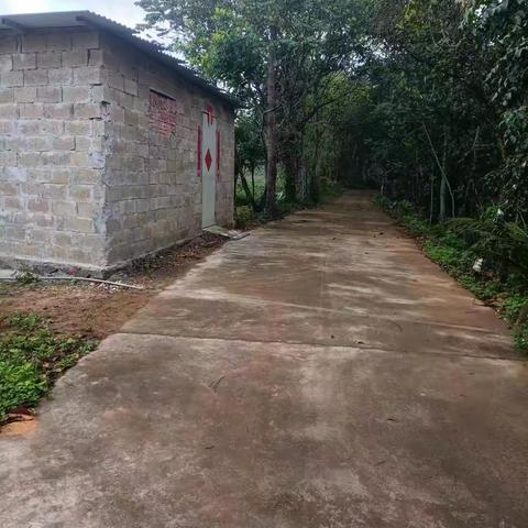 【质量考核--龙华农村四组2月17日】