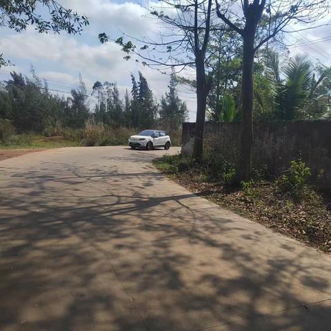 【质量考核--龙华农村四组2月10日】四