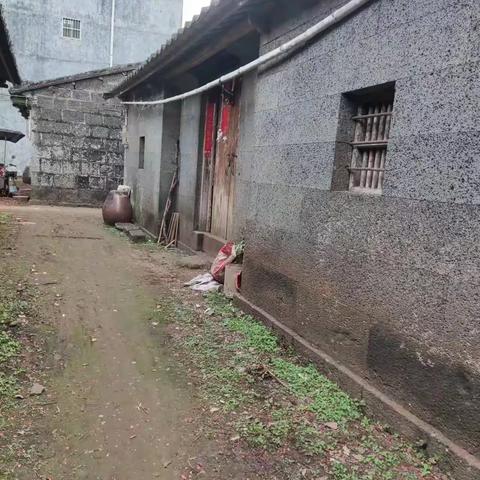 【质量考核--龙华农村四组2月3日】上