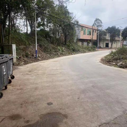 【质量考核--龙华农村四组1月31日】下