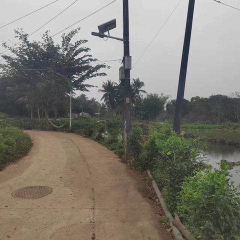 【质量考核--龙华农村四组2月15日】