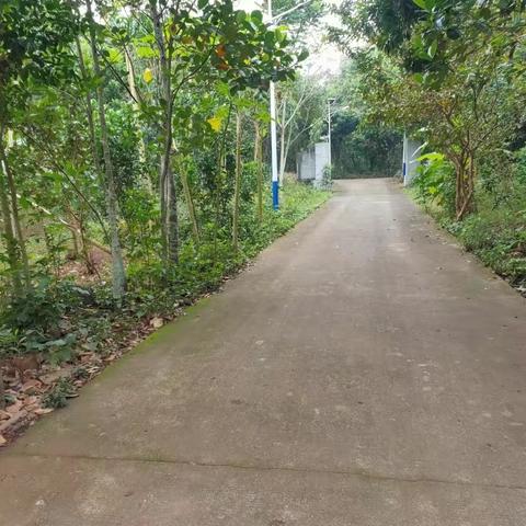 【质量考核--龙华农村四组1月20日】