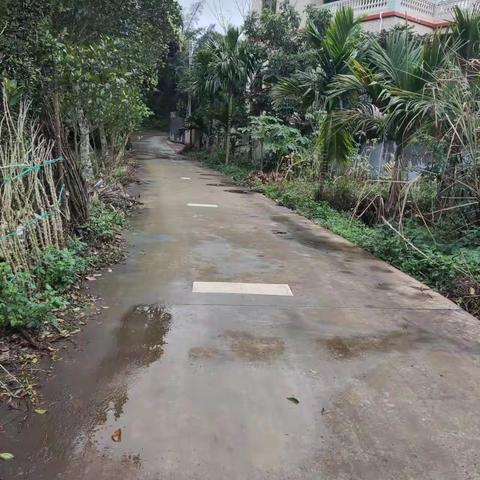 【质量考核--龙华农村四组2月3日】中