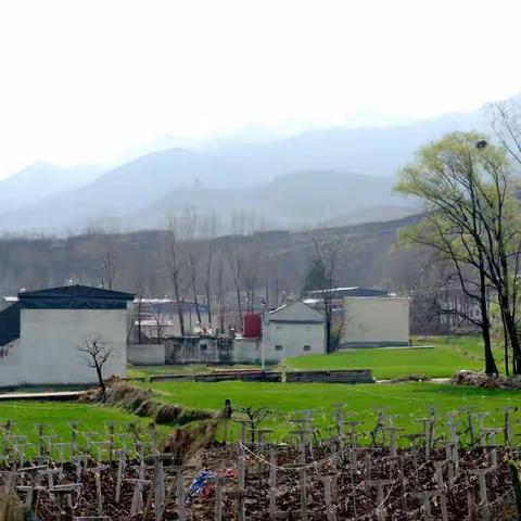 沙场村田园风光