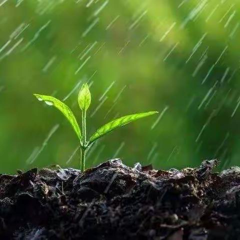 赞春雨，诵春雨，写春雨——记田柳实小二年级一班诵写《春夜喜雨》