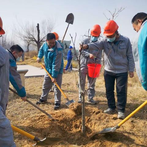 趁春光正好，种树去！——记潍坊能源2023年植树活动