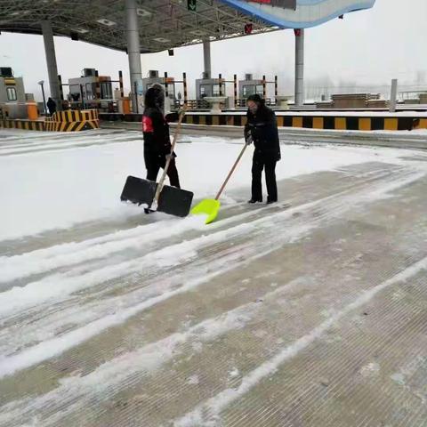 市征费处所辖各收费所除雪保通畅