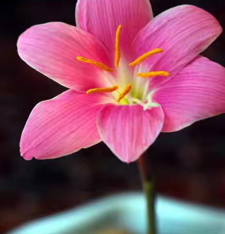 携手共进谋发展 校际交流谱新篇——记迁安一中西校区2021年高三高考备考研讨活动