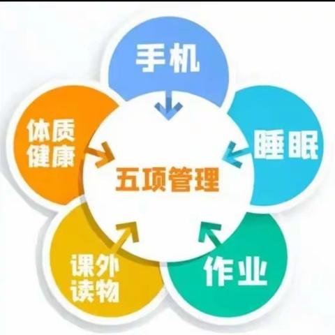 中小学生作业、睡眠、手机、读物、体质管理 (简称“五项管理”)政策内容