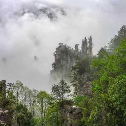 世界自然遗产；张家界武陵源国家森林公园