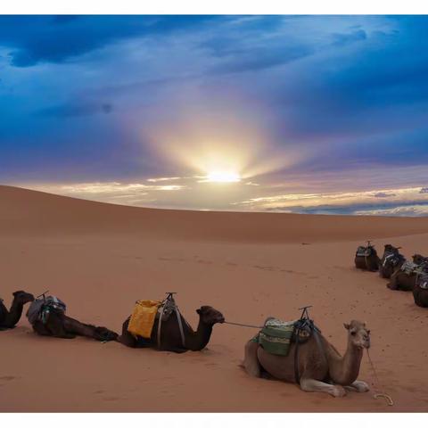 走进金色的撒哈拉（摩洛哥游记之八）