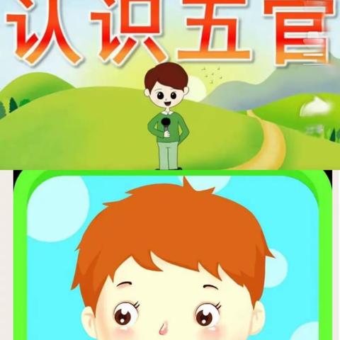 塔娜滩幼儿园大二班线上教学活动“认识五官”