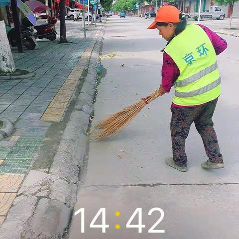 城市的美容师