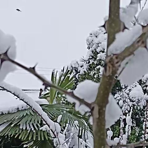 在冬雪飘飞的时候，我在桥头等你。