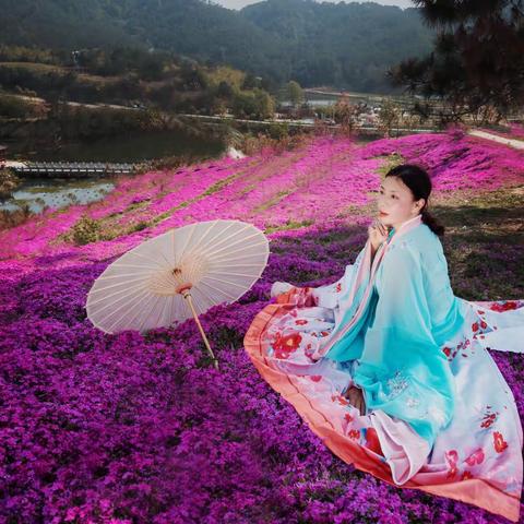 醉美花海季、针叶天蓝绣球、花的海洋