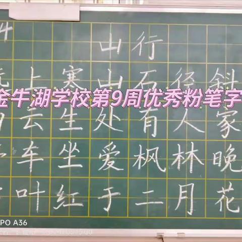 金牛湖学校第9周优秀粉笔字展览