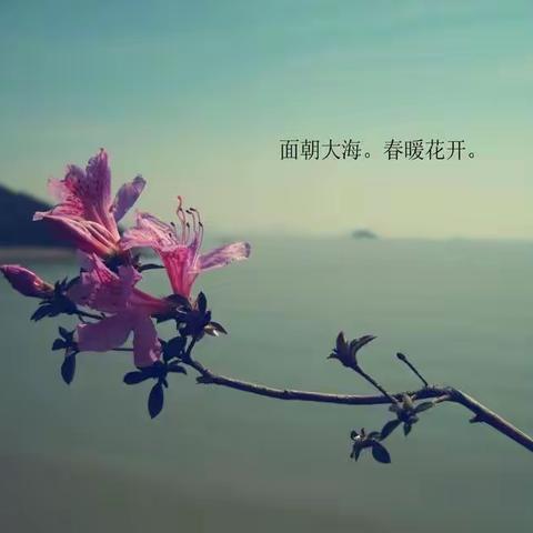 从今天起，做一个幸福的人