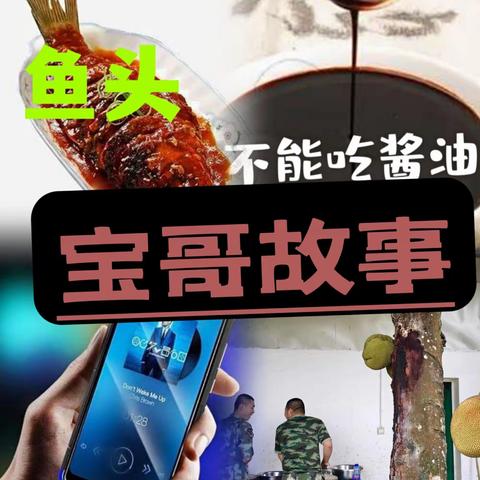 宝哥故事