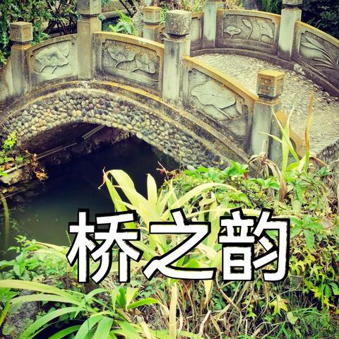 桥之韵