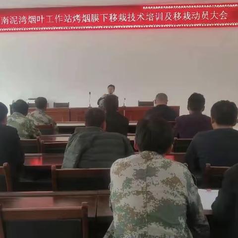 宝塔区局：强化监督检查，推进烤烟移栽