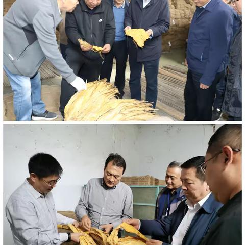 延安市局全面完成烟叶收购工作任务
