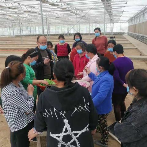 宝塔区局“三项措施”推进育苗假植工作