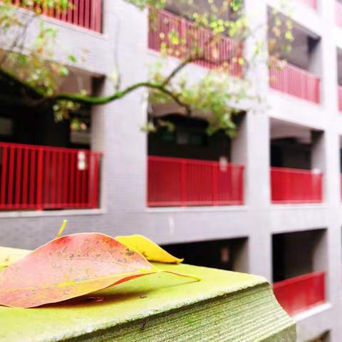 多方联动抓创新，“宅”家教研结硕果                 —— 四年级组实施国家课程“线上教学”第二周