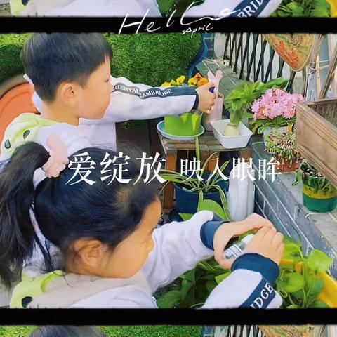 开心分享🍃🍃