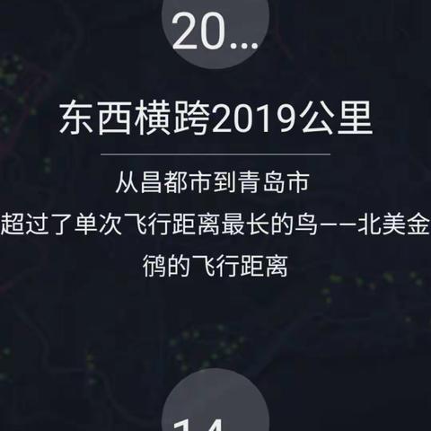 2019年的2019