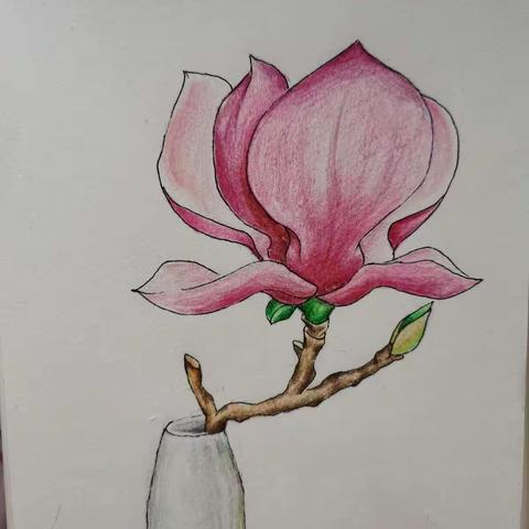 国画班  第七课