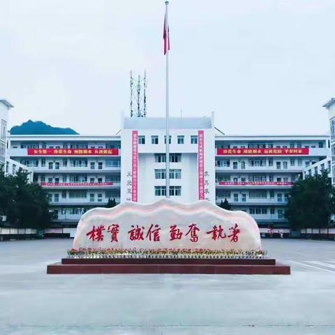 琴海学校理科组活动展