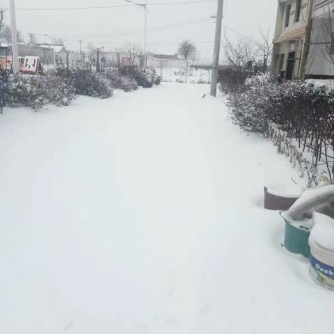 2018年第一场大雪，好美呀！