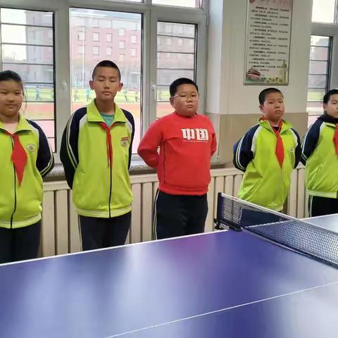 小小乒乓，奋力拼搏