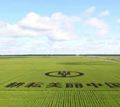 挥汗育沃土   深耕在三农----富平农行金融服务三农突击队在路上