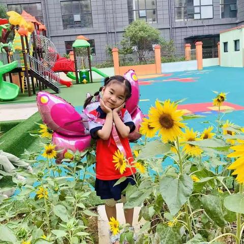 雷语彤宝贝成长足迹🌻🌻