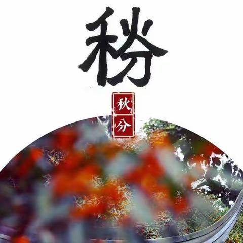 【今日秋分】风清月明 秋果飘香