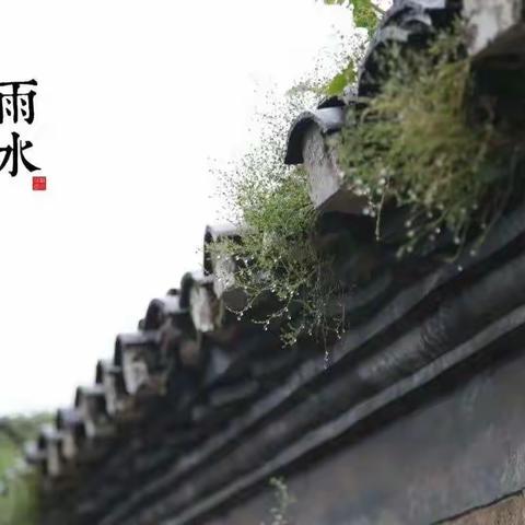 【二十四节气“雨水”】食育课堂